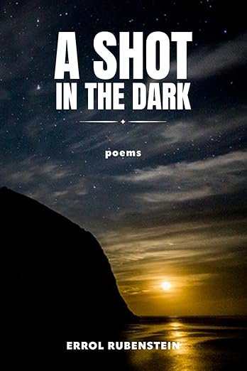 Book Cover: A Shot in the Dark